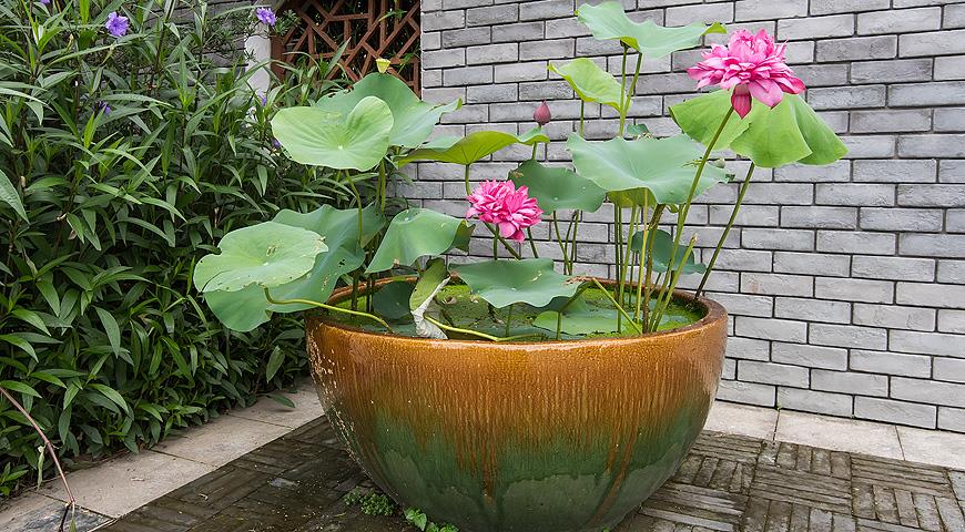 водный контейнер